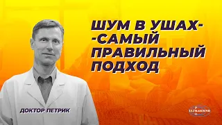 Шум в ушах  - самый правильный подход.