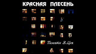 КРАСНАЯ ПЛЕСЕНЬ - ЭЛЕКТРИЧЕСТВО. НОВАЯ ВЕРСИЯ. АЛЬБОМ "ПАМЯТИ В.ЦОЯ"