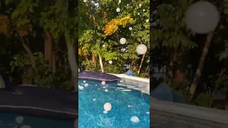 Chauvet Haze bubble Hurricane and pool