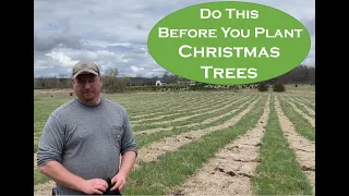 Christmas Tree Farming,  How we prepare our fields for planting Christmas Trees