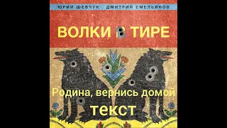 Юрий Шевчук и Дмитрий Емельянов - Родина, вернись домой  - текст, караоке