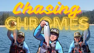 Chasing Chromes| Shaver Lake