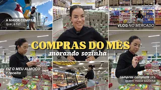 COMPRAS DO MÊS MORANDO SOZINHA | a maior compra que já fiz!