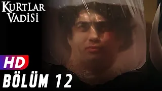 Kurtlar Vadisi - 12.Bölüm | FULL HD YENİ