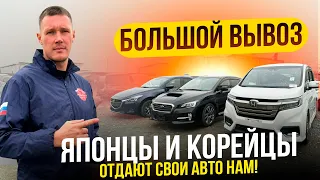 За сколько можно купить Авто из Японии и Ю.Кореи в 2024❗️Honda. KIA. Subaru. Mazda. Hyundai