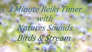 Reiki 3 Minute Timer with Sounds of Nature: Birds and a Stream