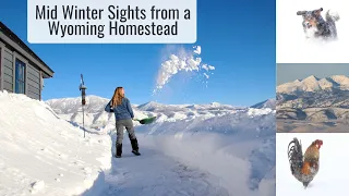 Mid Winter Sights from a Wyoming Mountain Homestead, 50+ Degrees Below Freezing & Lots of Snow!