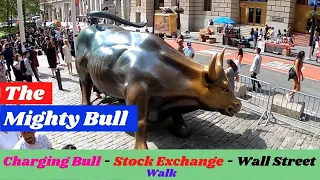 Charging Bull Wall Street Stock Exchange New York Walk