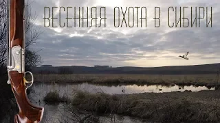 Весенняя охота, открытие 2019. Скрадок, манок, чирок.