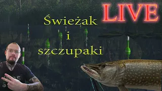 fishing planet: Świeżak i szczupaki 30lvl exp farm - Mishigan st. croix