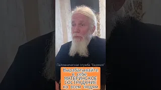 Вырабатывайте в себе материнское сострадание ко всем людям. Отец Игорь Мухин, Годеново. 15.07.23г