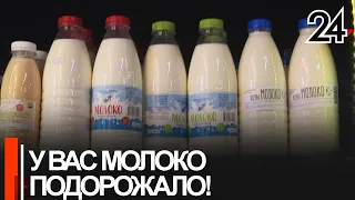 С февраля в России может подорожать молочная продукция