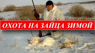 Охота на зайца зимой!ЭФФЕКТИВНАЯ охота