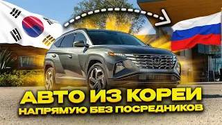 АВТО ИЗ КОРЕИ БЕЗ ПОСРЕДНИКОВ | НОЯБРЬ 2023