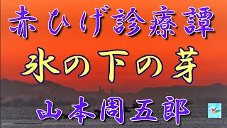 【朗読】赤ひげ診療譚８　氷の下の芽　山本周五郎　読み手アリア