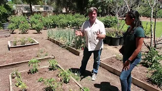 Q&A California Gardening Growing Veggies in the month of JUNE with Steve List