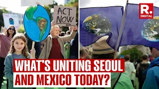 Earth Day 2024: Seoul to Mexico, People Come Together To Save Planet, Say No To Plastic | News