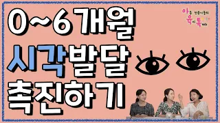 🎃0-6개월 시각 발달 올바르게 촉진하기 | 신생아들은 얼마나 보일까? |