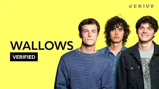 Wallows "Are You Bored Yet?" Official Lyrics & Meaning | Verified