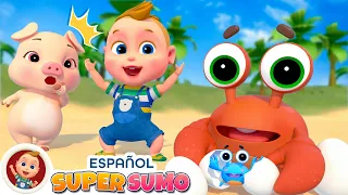 Si Eres Feliz Y Lo Sabes. Canción Feliz + Más Canciones | Super Sumo Canciones Infantiles Para Niños