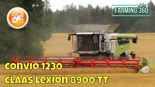 Harvest 2023 | Claas Lexion 8900 TT combine & Convio 1230 header