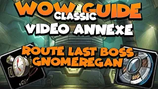 Wow classic Guide - Rush le last Boss Gnomeregan ( Video Annexe 1 du Pal prot aoe grind 30-42 )