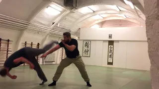 Remy Helgesen aikido TAP