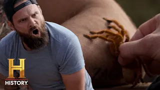 MASSIVE TARANTULA TAKES A NASTY BITE | Kings of Pain (Season 2)