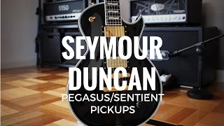 Seymour Duncan Pegasus/Sentient Pickups - Demo w/ EVH 5150III