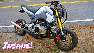 Banshee swapped Grom First Ride!