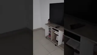 fantasma real de uma criança assombrando uma casa