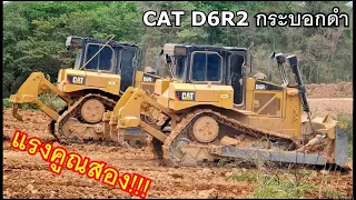 ตัวแรงกระบอกดำ CAT D6R2 รถดันดินตีนตะขาบ สุดยอดขุนดันงานดิน มา 2 คันดันคู่กับเสียงท่อโหดๆที่คุ้นเคย