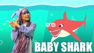Baby Shark -Yd