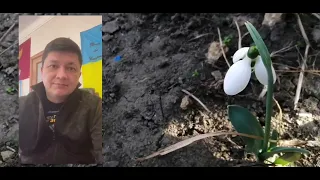 Николаев 5 марта 2024 года (Ким записал видео)