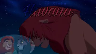 Kovu ♡ Simba - Havana