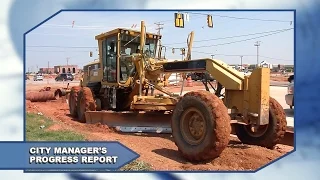 City Manager's Progress Report (February 2015)