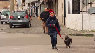 ADDESTRAMENTO IN AMBIENTE URBANO-LA CASTAGNOLA