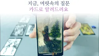 [타로] 지금, 떠올린 머릿속의 질문. 카드가 대답해 준대요.🙏