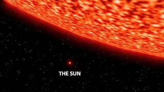 A Size Comparison of the Sun With the Largest Star and black hole size comparison