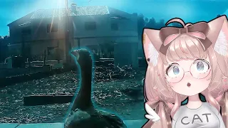 Goose Witnesses A Meteor | VTuber Fuwa Reacts to Daily Dose of Internet, UNUSUAL VIDEOS & YSAC