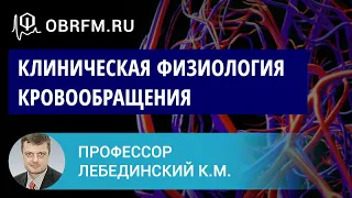 Профессор Лебединский К.М.: Клиническая физиология кровообращения: то, что важно на каждый день