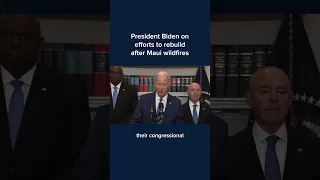 President Biden on efforts to rebuild after Maui wildfires