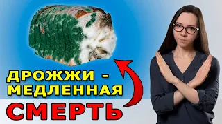 Термофильные дрожжи ОПАСНЫ для здоровья – вред для организма и иммунитета хлебопекарных дрожжей