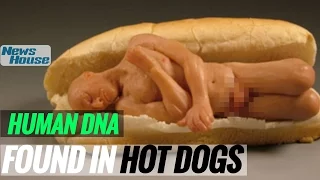 Human Hot Dogs | News House