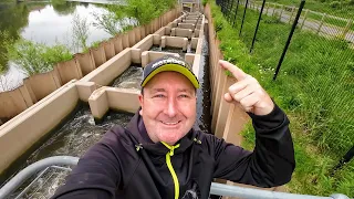 This fish ladder is amazing!