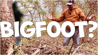 Did We Find a Bigfoot Nest? Unidentified Mysterious Woods Discovery Revealed!