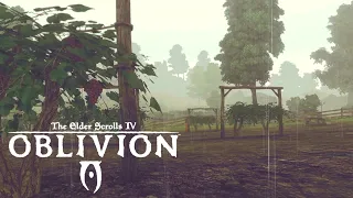 Oblivion Ambience - Rainy Day in Cyrodiil - 1 hr Rain ASMR