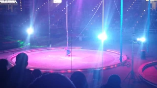 Jordan World Circus! 2017 Spiderman, Elephants & Human cannonball