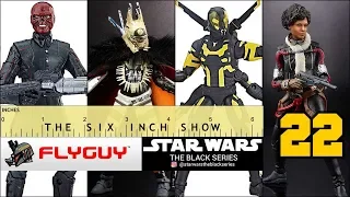 The Six Inch Show - Star Wars Black Series & Marvel Legends Episode 22