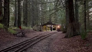 Redwood Valley Railway 4-6-0 #11 climbing the high line to put away the train